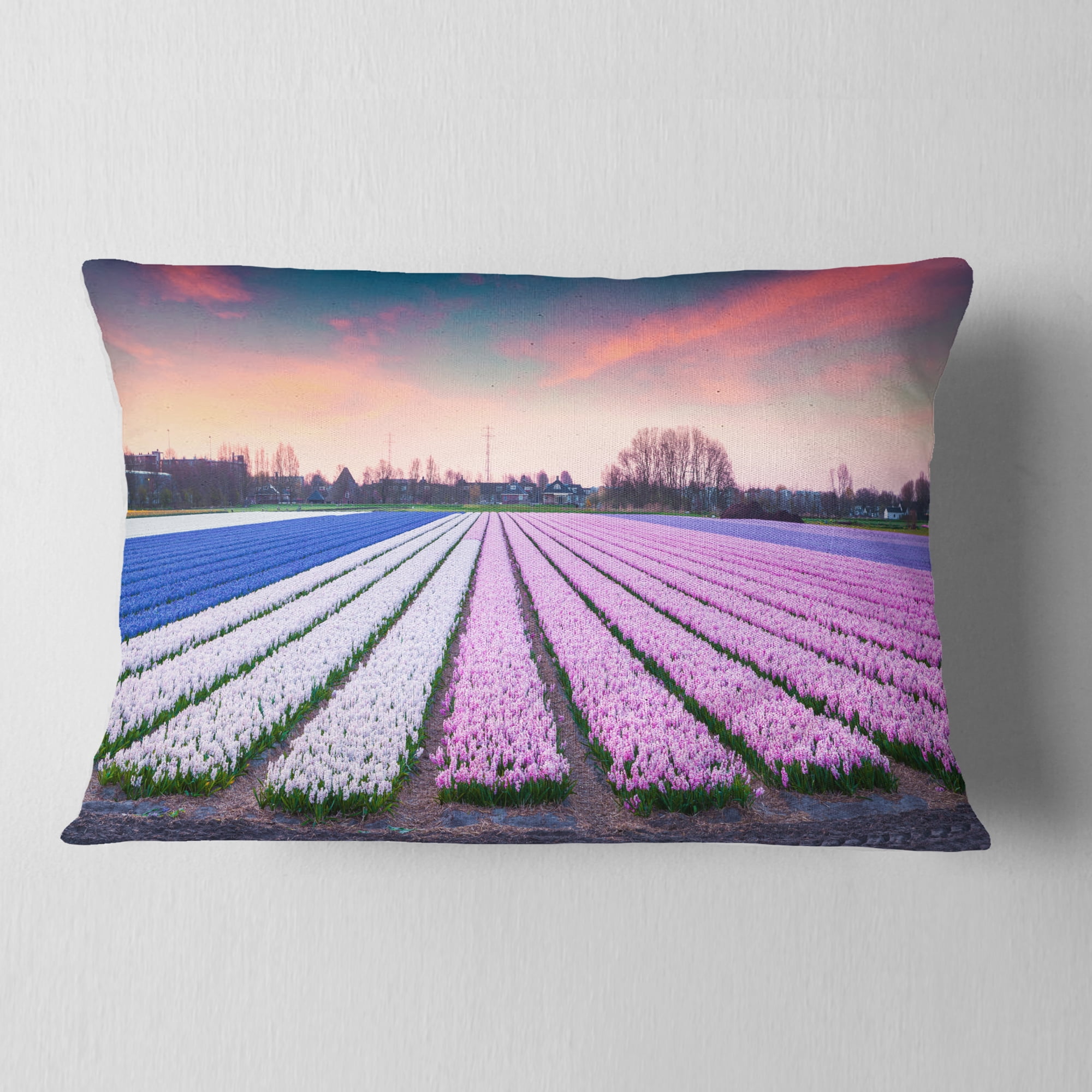 Designart Colorful Hyacinth Flowers at Sunrise - Photography Throw Pillow - 12x20