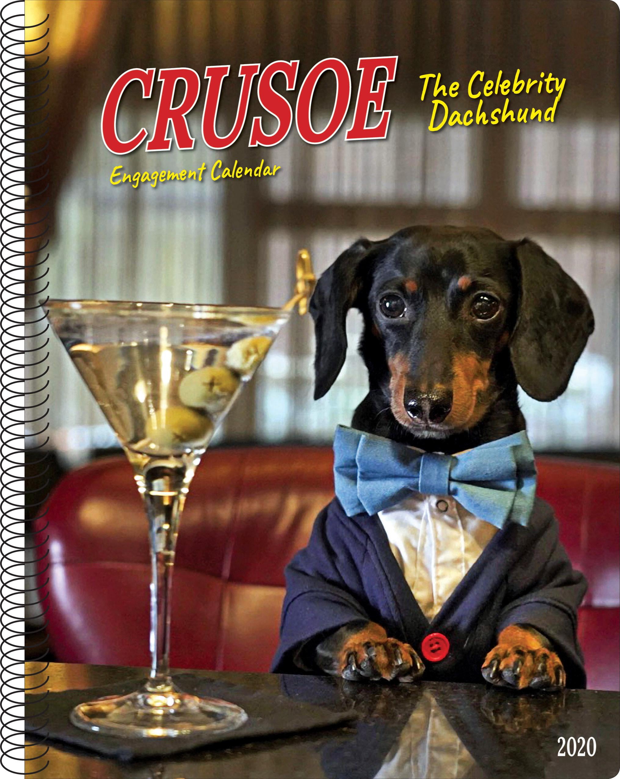 Crusoe the Celebrity Dachshund 2020 Engagement Calendar (Dog Breed