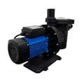 thumbnail image 2 of Bomba Para Piscina Alberca 1Hp 110/220v 325l/m BP-1 Igoto, 2 of 7