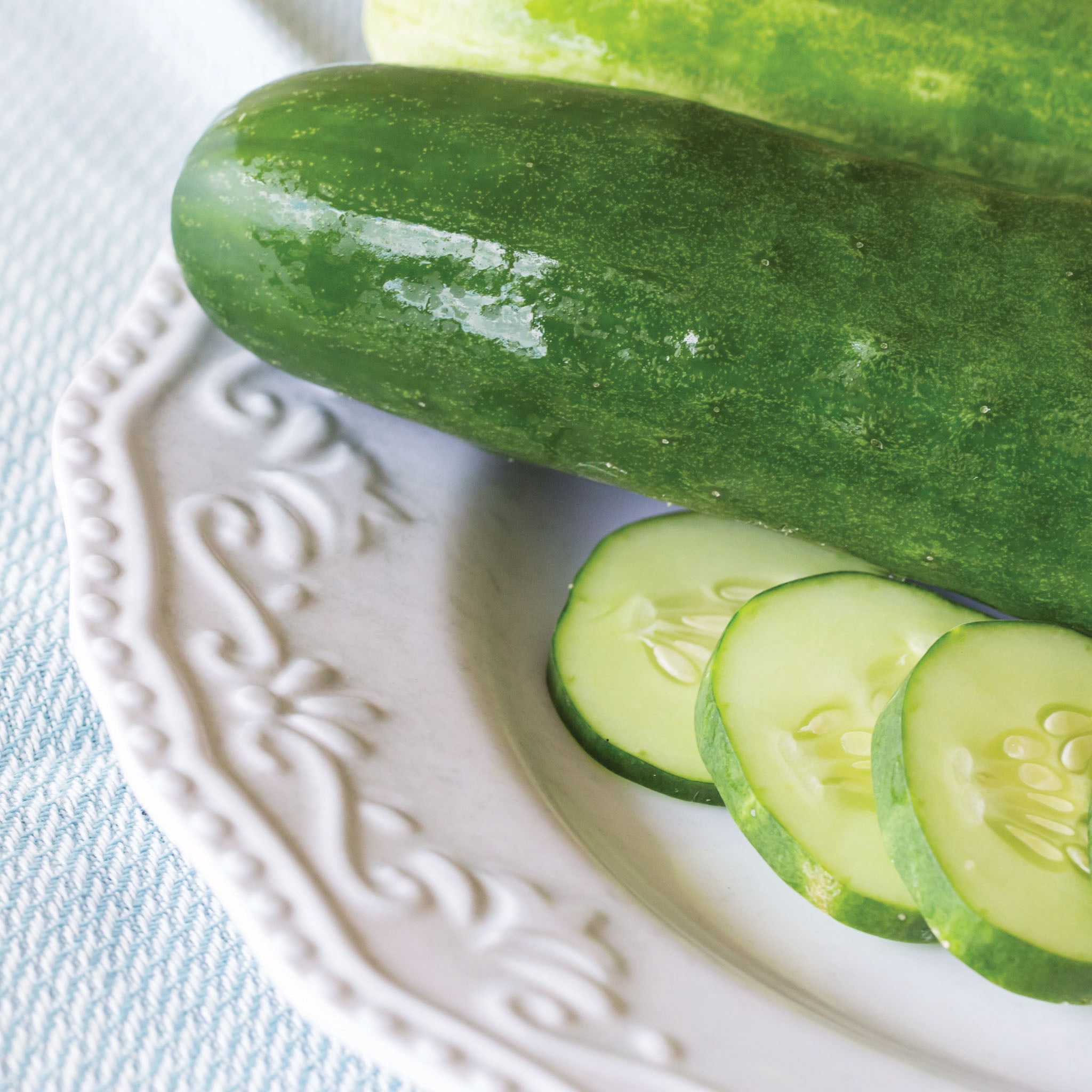 Burpee Burpless Beauté Concombre, Burpless