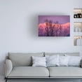 thumbnail image 3 of Pierre Leclerc Photography 'Pink Mountains' Canvas Art, 3 of 4