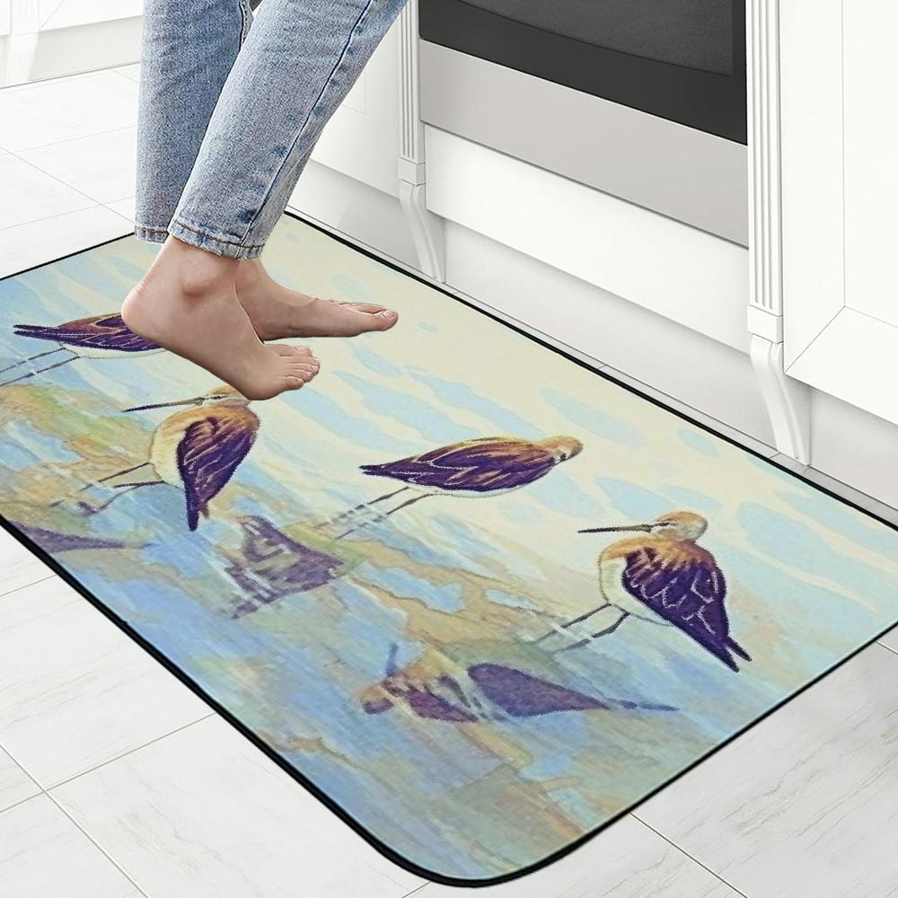 Heduofu Coastal Avocets Decorative Door Mat, Door Mat with Non-Slip Rubber Backing, Easy Cleaning, Traps Dirt, for Entry, Patio, Garage 19.68*47.24 in