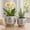 Blue, variant on Hand Painted Flower Leaves Planter for Home Decor - Decorative Ceramic Flower Planter for Bedroom, Living Room, and Entryway - Indoor and Outdoor Pots for Plants - Set of 2, 8", 6", Blue & White