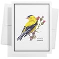 thumbnail image 4 of Paper - Assorted American Birds Greeting Cards - Stationery Cards with Envelopes - Thank You Card - Blank Note Cards - Greeting Cards for All Occasions - Made in USA (5.5 x 4.25, Set of 12), 4 of 9