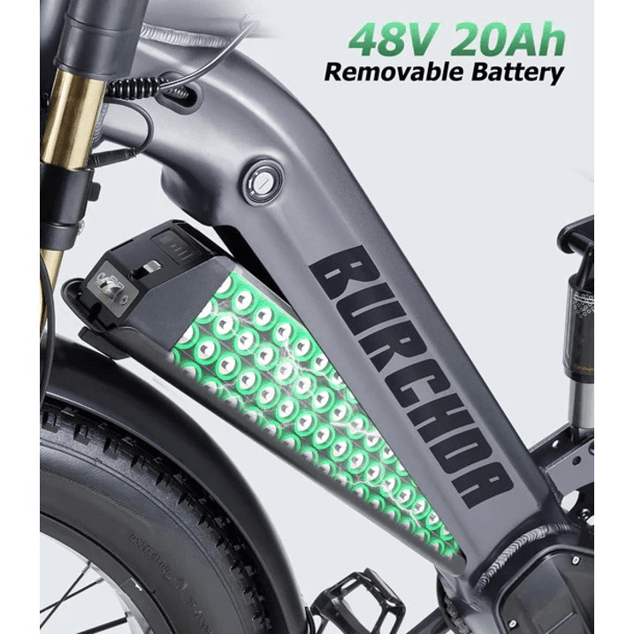 ITSTANDS Electric Bike Removable Lithium Battery,UL2849 48V 20Ah for RX80 ebike Burchda
