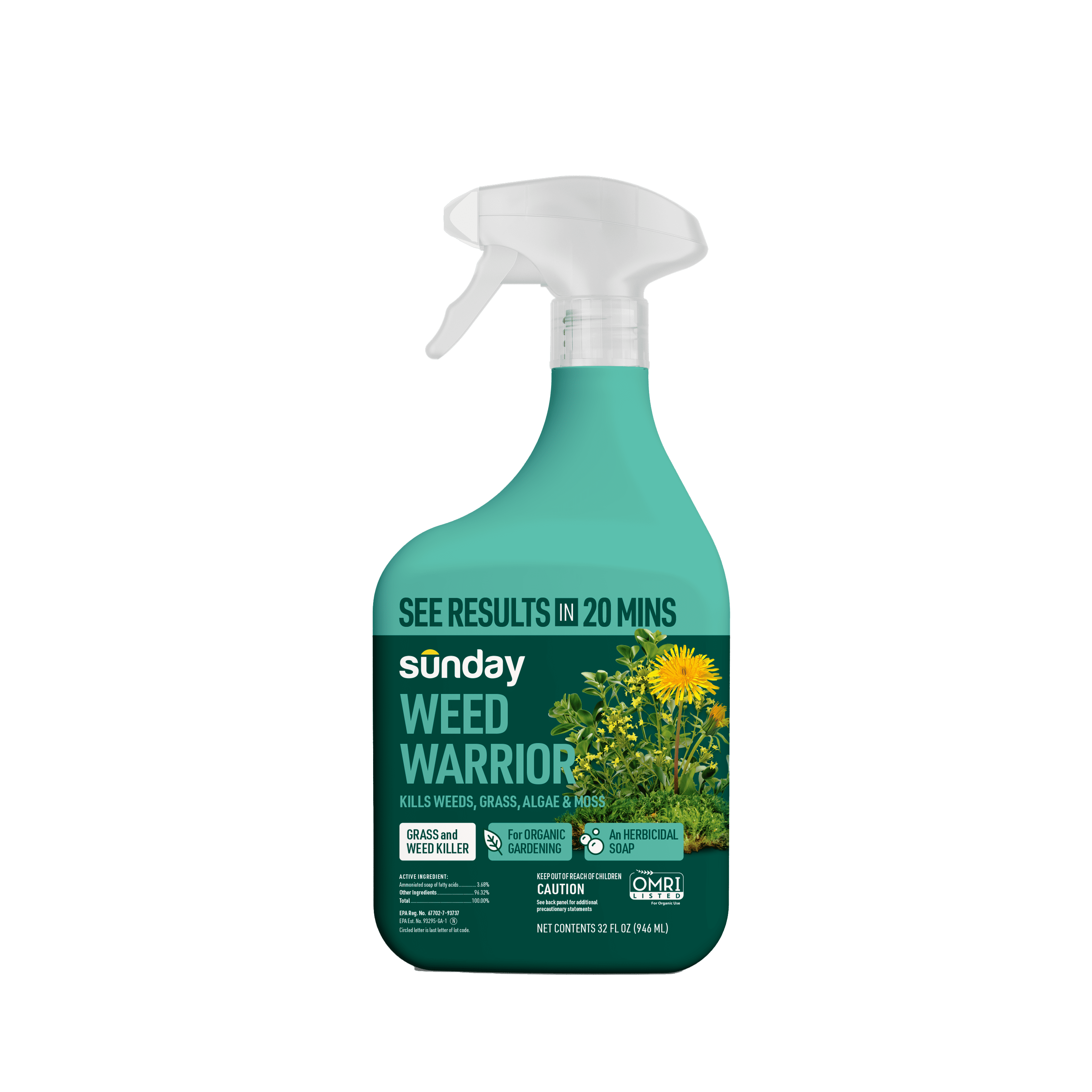 Sunday Root Liquid Ivy Dandelion Doom Broadleaf Herbicide Spot