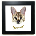 thumbnail image 1 of Long-eard Spotted Serval Animal Black Square Frame Picture Wall Tabletop, 1 of 3