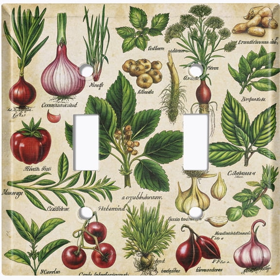 Metal Light Switch Wall Plate Outlet Cover (Printed Image of Antique Botanical Chart - Double Toggle)