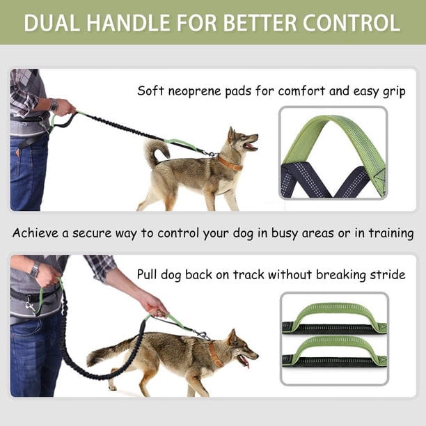 all for paws fetch n treat toy for dogs Automatic Dog Ball Fetch & Treat Toy  Noko Pets