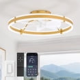 thumbnail image 1 of Ventilador de techo ZMISHIBO de 24" con luz LED, control remoto, 6 velocidades, dorado, 1 of 7