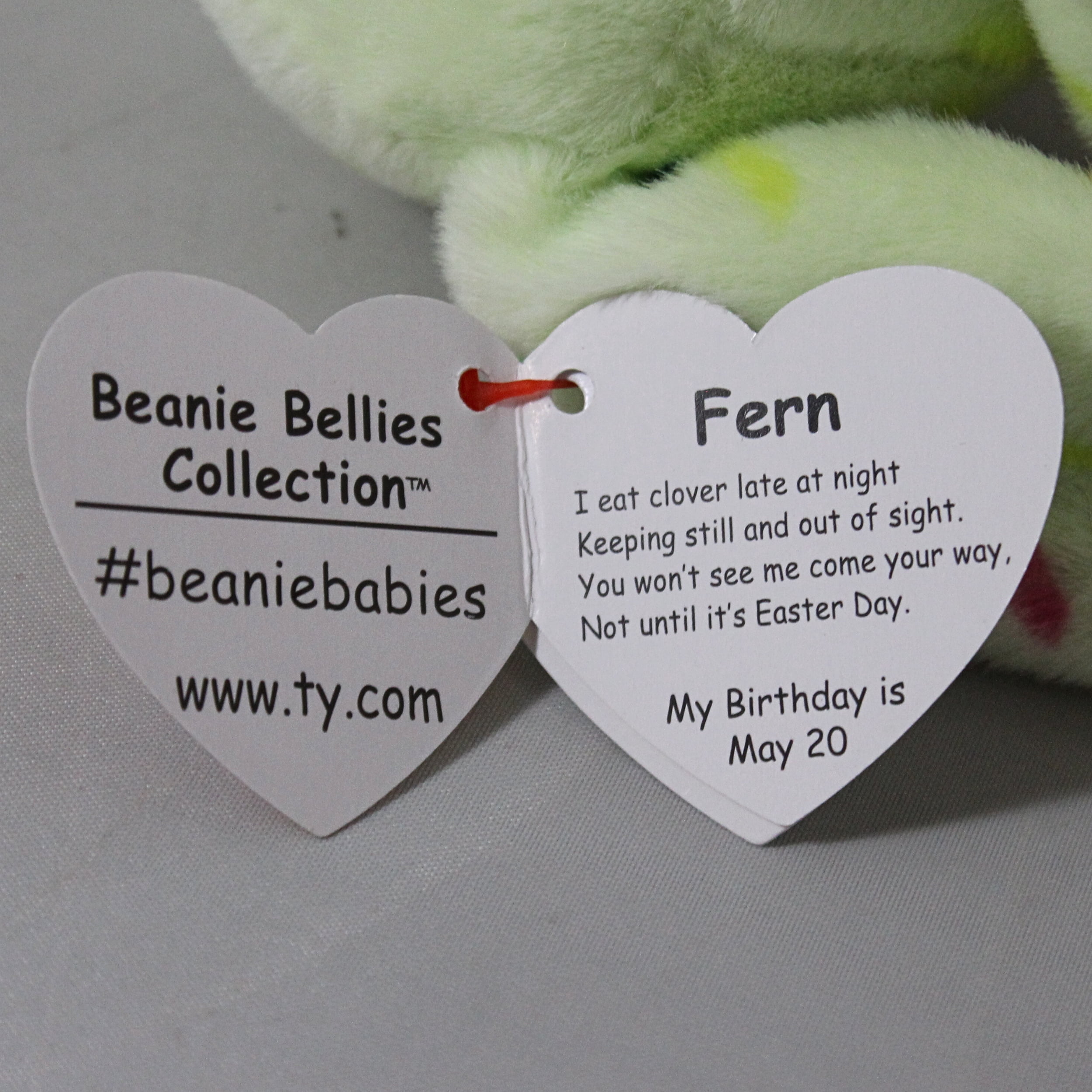 TY Beanie Bellies - Fern The Easter Bunny Green with Glitter Pink Eyes, Cuddly Plush Animals with Soft Belly Original Easter Special - 20 cm - T41514