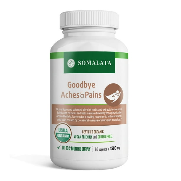 Goodbye Aches & Pains Natural Antiinflammatory for Joints & Muscles