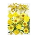 thumbnail image 2 of Surtido de flores secas prensadas a granel, artesanías, bricolaje, resina epoxi, joyería, decoración Amarillo, 2 of 9