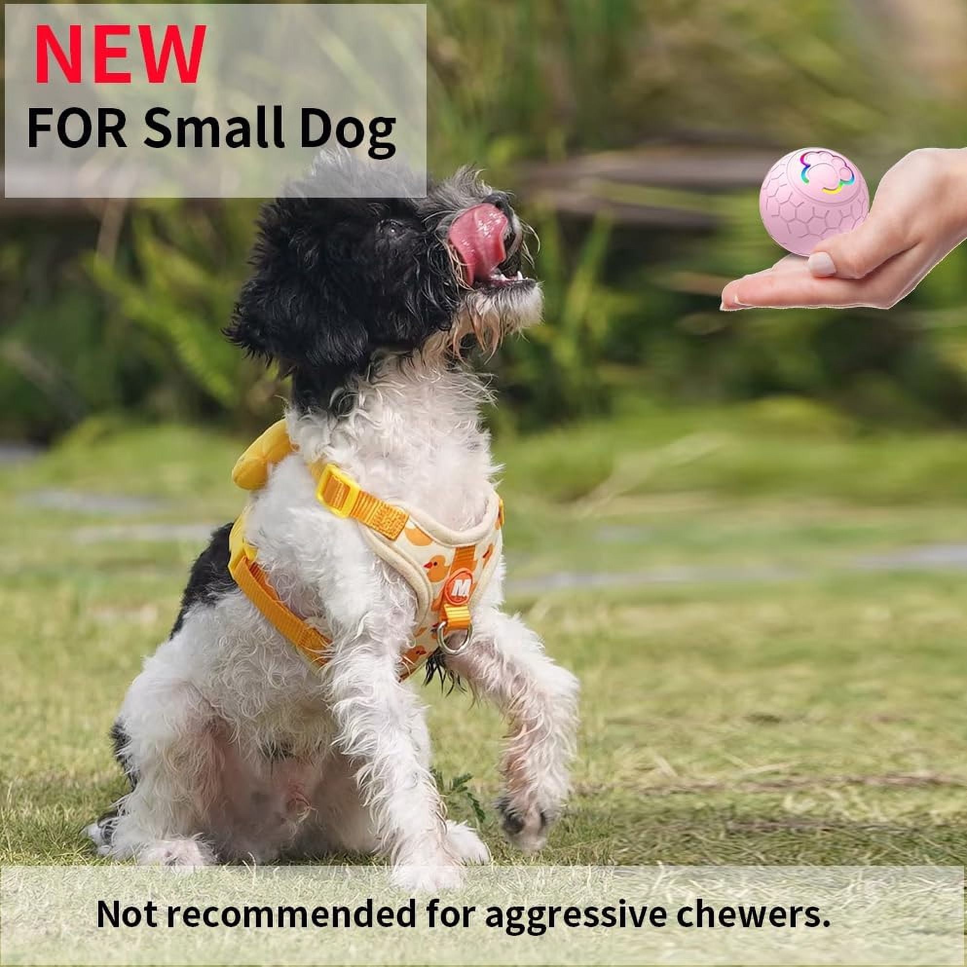 Self Moving Balls For Dogs, Smart Interactive Dog Toys Ball, Activated Rolling Ball for Dogs - Durable USB Rechargeable Dog Toy for Puppies, Small, and Medium Dogs, Fun Gift for Boredom(Pink)