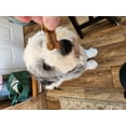 thumbnail image 6 of Watson & Wallie Apple Pear Cranberry Dog Treats – Kidney Kind, Low Phosphorus & Moderate Protein – Crunchy Natural Dog Treats, 6 of 7
