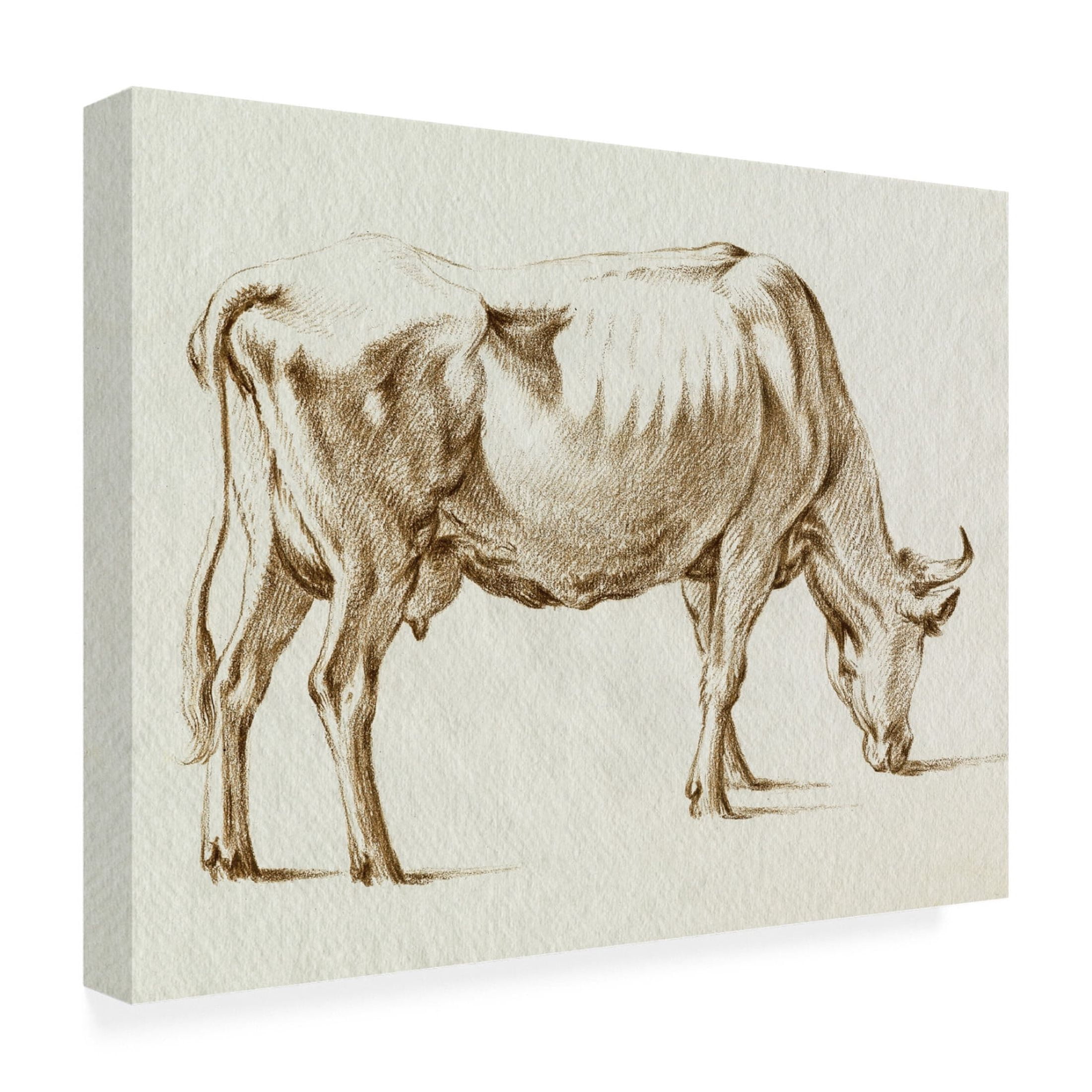 Trademark Fine Art Jean Bernard  Sepia Grazing Cow sketch I Canvas Wall Art
