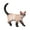 #718, variant on Ludlz Simulation Mini Cats Kitty Figure Model Statue Home Ornaments Gift Kids Toy