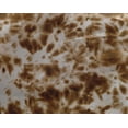 thumbnail image 5 of oneOone Georgette Viscose Brown Fabric Tie Dye Sewing Craft Projects Fabric Prints By Yard 42 Inch Wide, 5 of 5