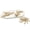 3pcs, variant on 1/6PCs 3D Printing Skeleton Full Body Joint Mobility Marine Life Shark Turtles Figurines Home Office Desktop Decoration
