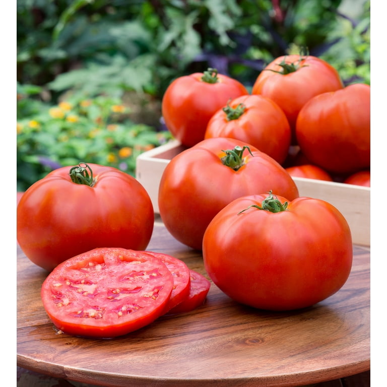 2 pack) Bonnie Plants Better Boy Tomato 19.3 oz. - Walmart.com