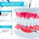thumbnail image 5 of Herramienta profesional de raspador de sarro dental - Selección dental, removedor de sarro de doble extremo para dientes, removedor de placa, raspador de dientes Vhermosa CZMR-ZC140, 5 of 6