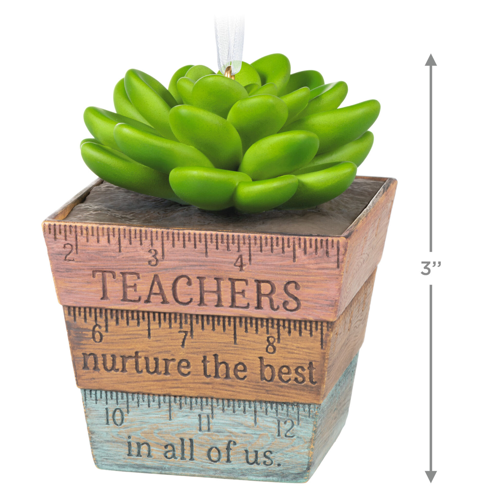 Hallmark QHX4012 Thank You, Teacher! Succulent Planter 2021 Ornament - image 2 of 6