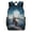 HuWng-2, variant on White Wolf Moonlit Mountain Art Backpacks for Backpack for Bookbag