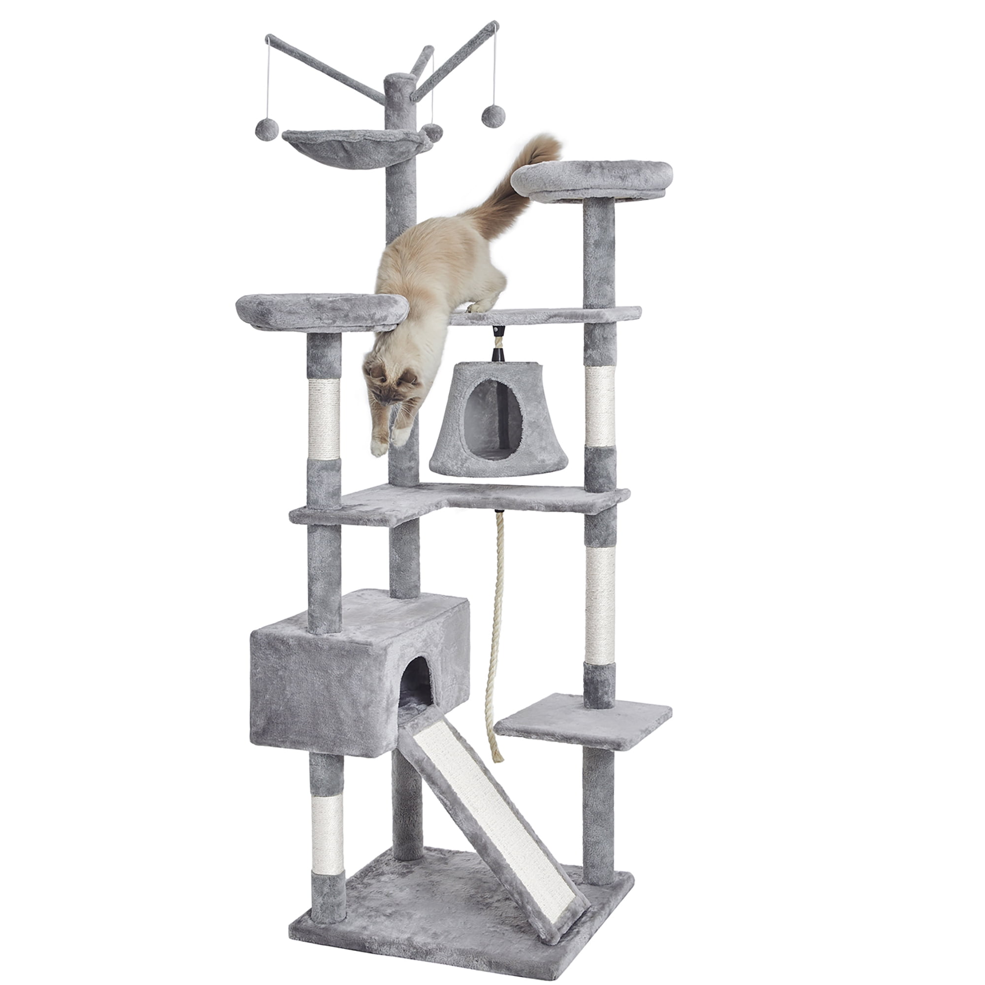 large cat condo
