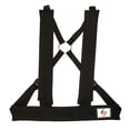 thumbnail image 5 of Speedster Elite Training System?, 5 of 5