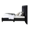 thumbnail image 3 of ACME Lit Très Grand Size Damassy en Velours Noir, 3 of 5