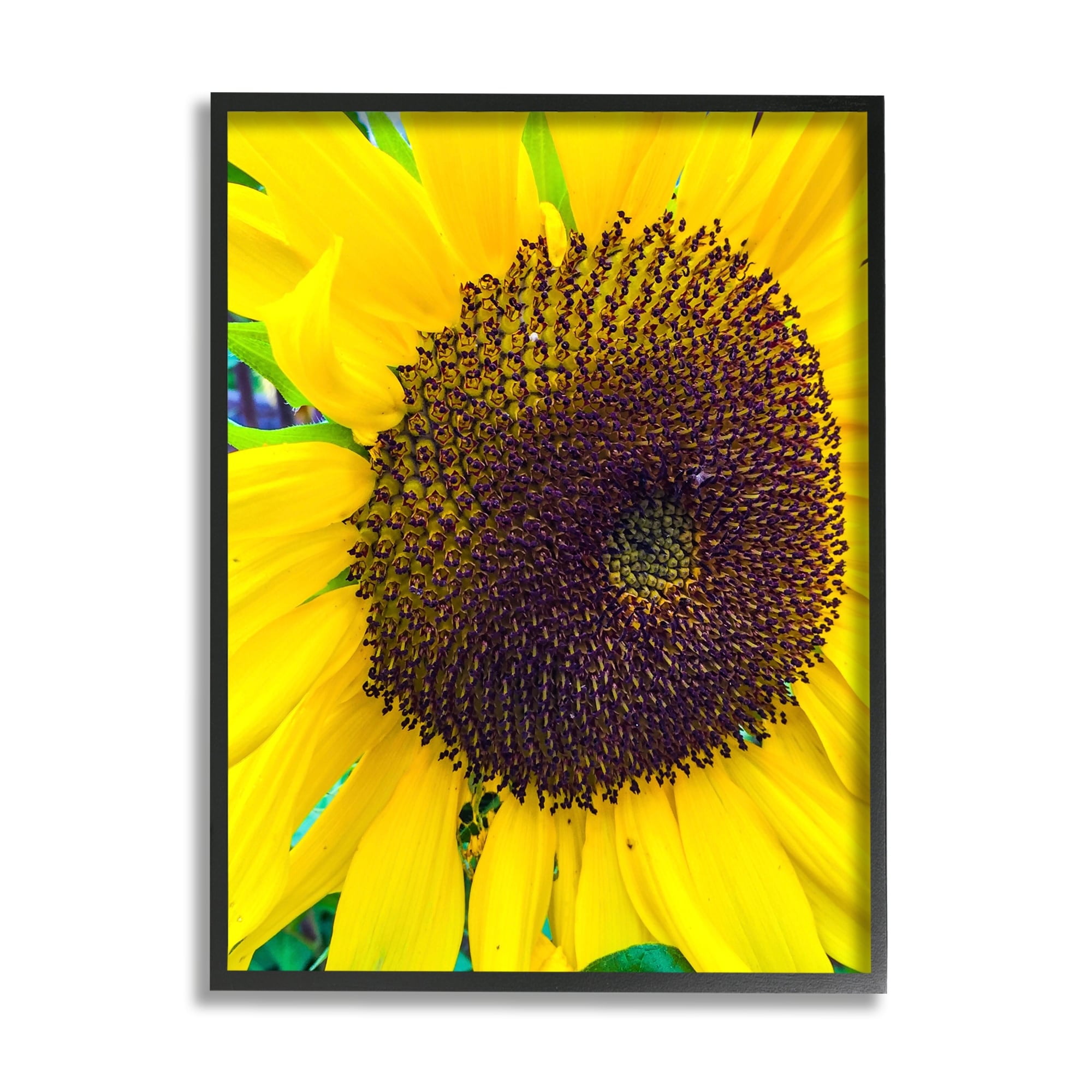 Stupell Industries Close Up Yellow Sunflower Florets Botanical Nature Photograph Gray Framed Art Print Wall Art, Design by Heidi Bannon
