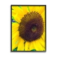 thumbnail image 2 of Stupell Industries Close Up Yellow Sunflower Florets Botanical Nature Photograph White Framed Art Print Wall Art, Design by Heidi Bannon, 2 of 5