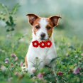thumbnail image 2 of Pet Accessories Masue Pets, pajarita para perros, collar con flores, 15 unidades, 2 of 9