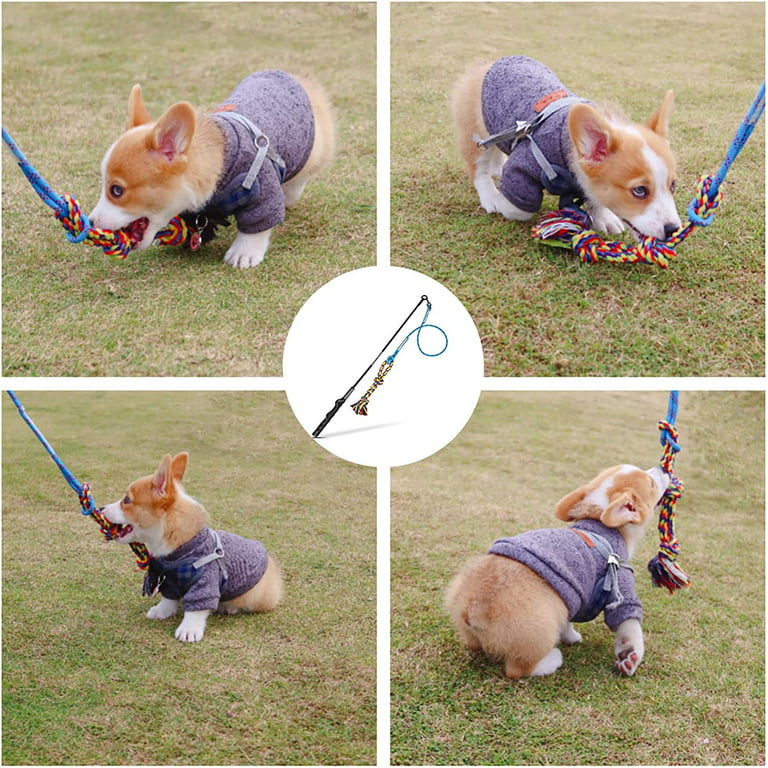 Pet Dog Flirt Pole Toy Retractable Dog Teaser Pole With Toy Pet