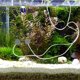 thumbnail image 4 of unbranded 1Ud Aerador De Acuario USB Para Peceras Pequeñas Con Material Resistente Y Portátil, 4 of 8