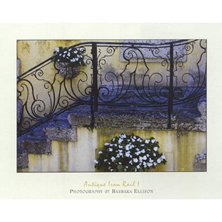 Antique Iron Box Antique Iron Rail I by Barbara Ellison 16x20 PosterSTAIRWAY FRONT ENTRANCE FLOWER BOxES HAND RAIL VINTAGE FLORAL STEPS ()