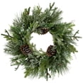 thumbnail image 3 of Northlight Frosted Mixed Pine and Cedar Artificial Christmas Wreath - 28" - Unlit, 3 of 9