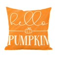 thumbnail image 2 of Fall Decorations for Home, 18X18 Inch Fall Decorative Pillow Cover, Orange Hello Pumpkin Fall Pillow, Outdoor Fall Pumpkin Decorations, Durable Fade Resistant Pillow Protector, 2 of 6