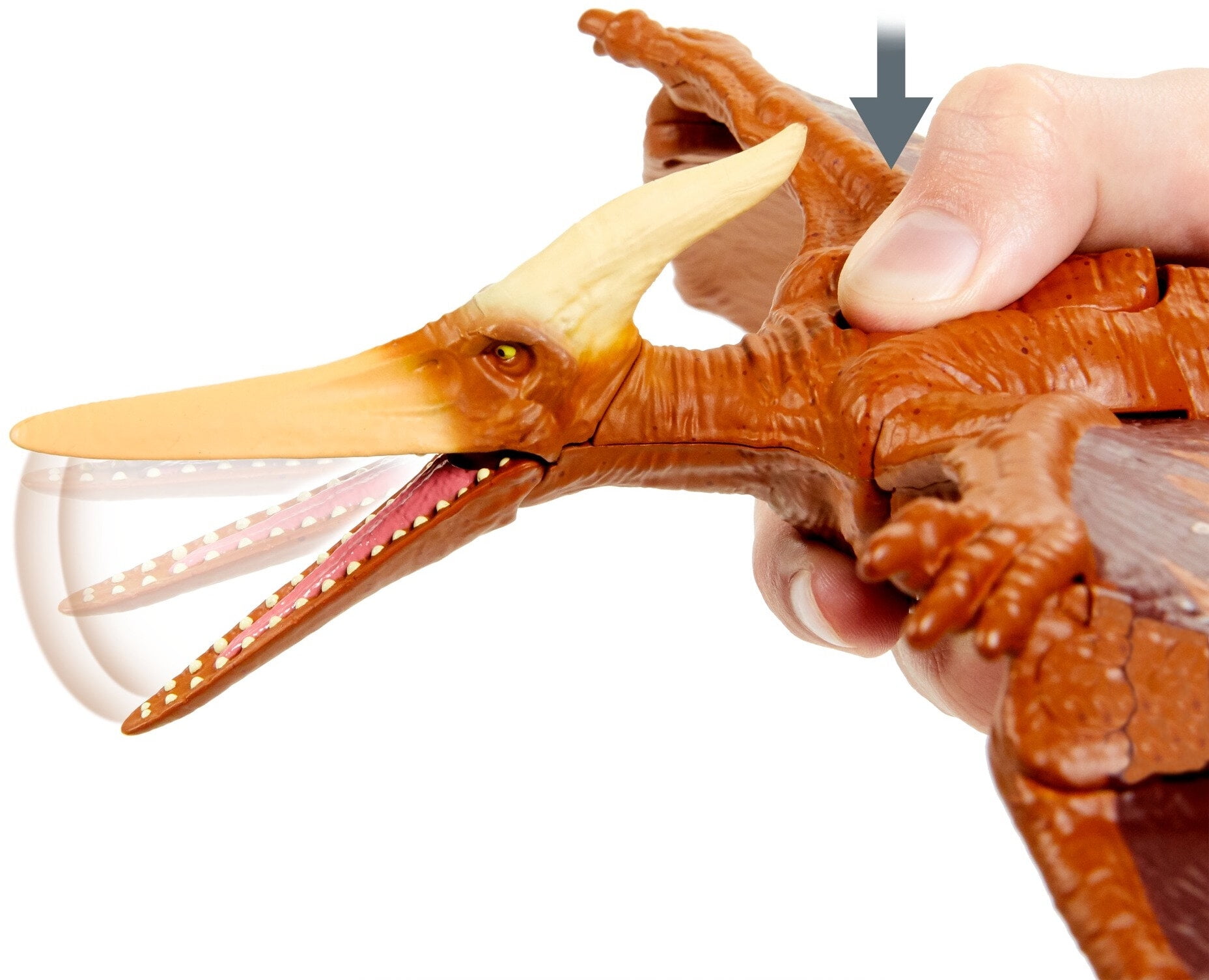 Simulation Jurassic Dinosaur Toy Pterodactyl Pteranodon Haztergo