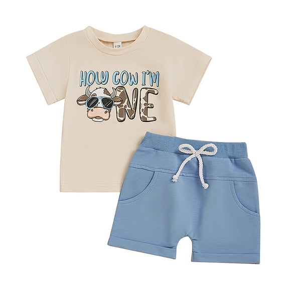 HAYIMI Kids Toddler Baby Boy First 2nd Birthday Outfit Sets O-Neck Short Sleeve Birthday Shirt Shorts Cake Summer Outfit Soft Child Cartoon Clothes Sets
