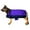 Purple Black, variant on XXS Hilason 200 gsm 600D Winter Turnout Waterproof Dog Blanket Royal Blue