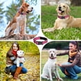 thumbnail image 7 of Minzimin Reflective Dog Collar, Soft Neoprene Padded Pet Collar for Small, Medium, Large Dogs, Adjustable Puppy Collars with Quick Release Buckle, Safe Breathable Nylon Dog Collars for Puppies, 7 of 7