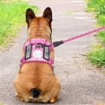 thumbnail image 3 of Arnés para perros Beebiepet Heavy Duty Tactical para perros medianos, 3 of 5