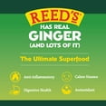 Reed's Real Ginger Ale Soda Pop, 12 Fl Oz, 8 Pack Cans