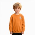 thumbnail image 6 of Child Boys Halloween Shirt for 5t 6t Halloween Kids Skeleton Pumpkin Ghost Shirt Crewneck Long Sleeve Graphic Top Toddler to Youth Boys Clothes Size 5-6 Years, 6 of 9
