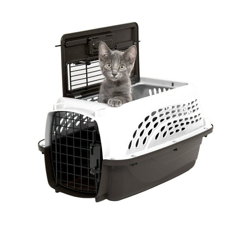 Basics 2-Door Top Load Hard-Sided Dog and Cat Kennel Travel Carrier,  23-Inch 