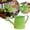 D, variant on Metal Watering Can For Outdoor Plants, Galvanized Steel Watering Can With Removable Spout, Perfect Home & Garden Décor Yellow 12*12*11Cm Home Decor