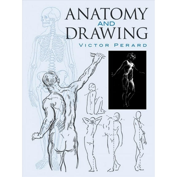 Anatomy and Drawing