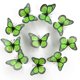 thumbnail image 2 of 10 Adhesivos De Pared 3D Decoraciones Artísticas Decoraciones Pared 3D 10 Adhesivos De Pared Mariposas Naranjas Realistas Para Primavera, Verano Y Otoño Decoraciones Artesanales Para El Hogar, La M, 2 of 4