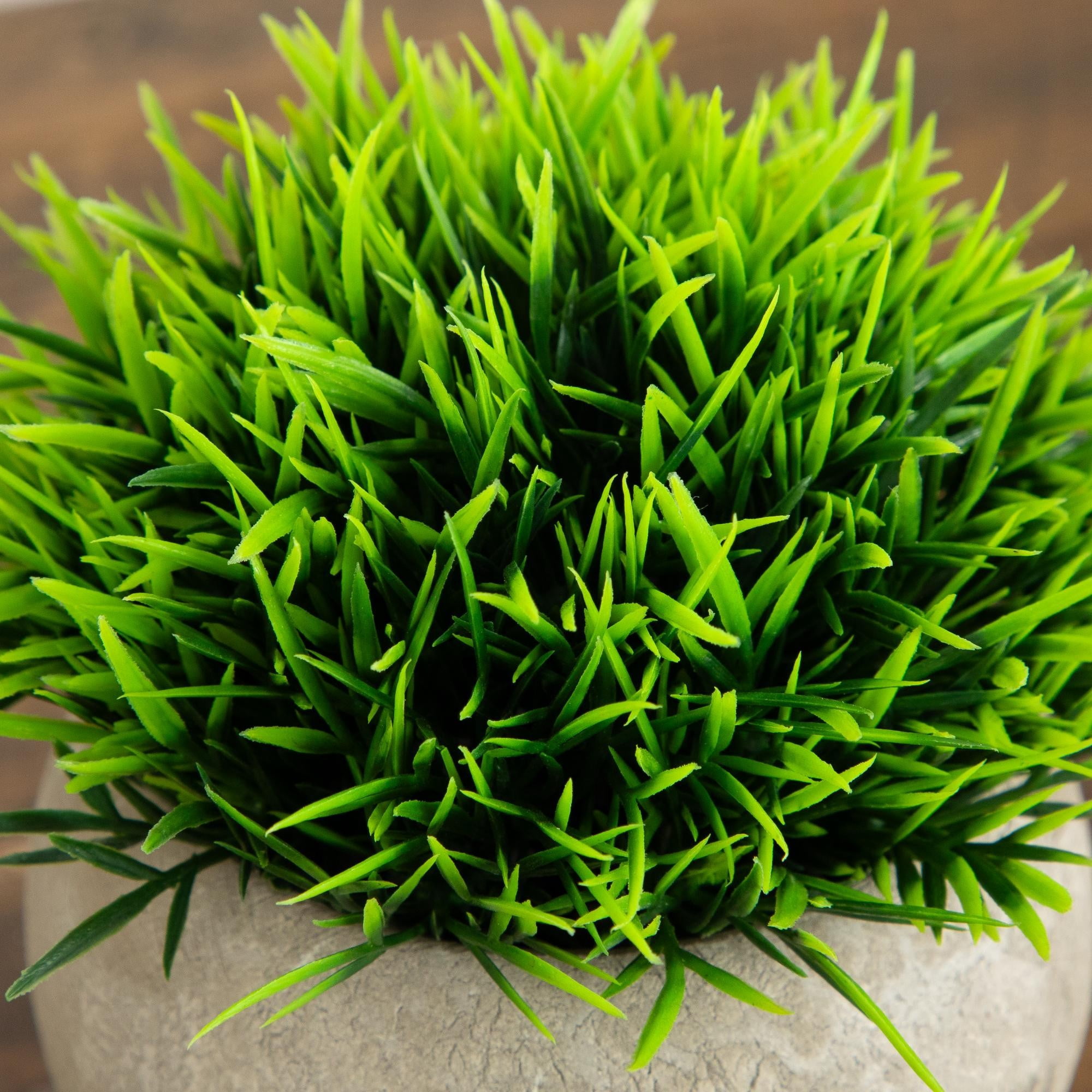 4.5in. Artificial Grass Plant in Cement Planter - Set of 2